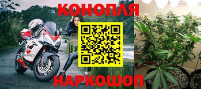 бошки Ливны
