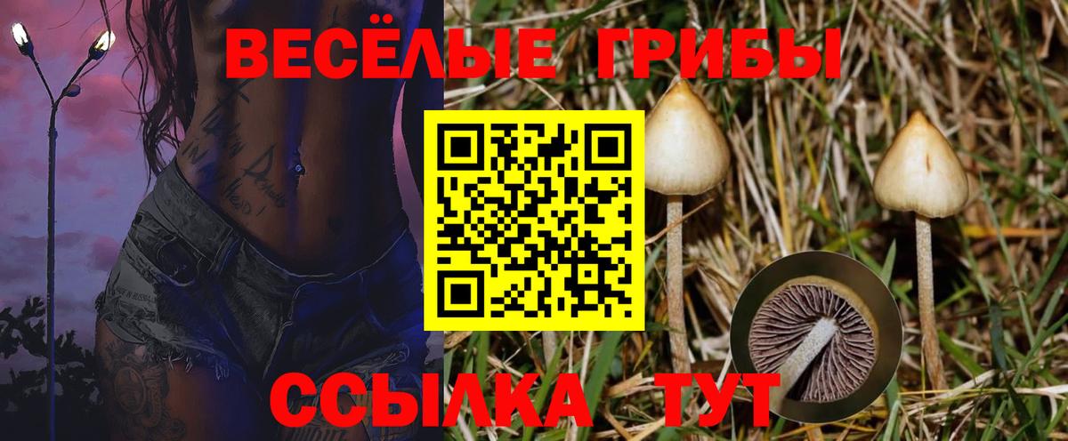 Галлюциногенные грибы мицелий Железноводск