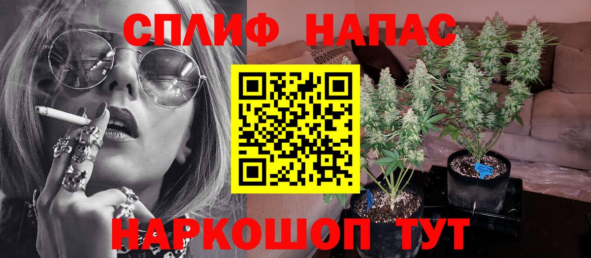 Канабис гибрид Железноводск